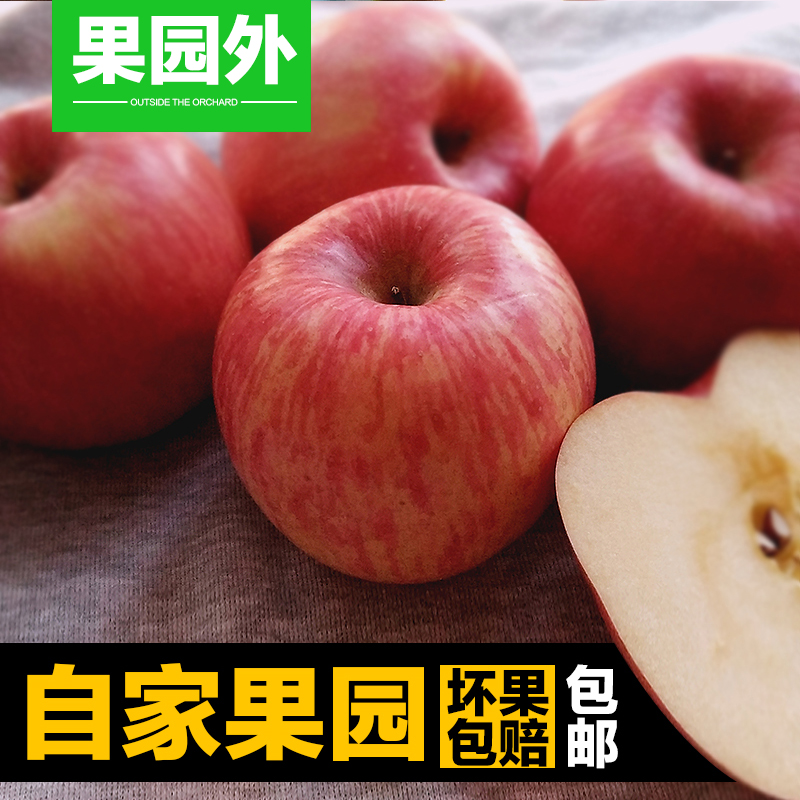 【果园外】陕西洛川红富士苹果水果新鲜脆甜胜烟台红富士苹果5斤