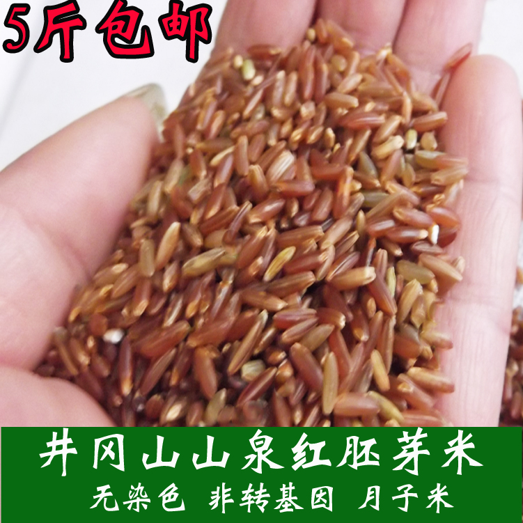 井冈山农家自种红米新米糙米大米红米饭五谷杂粮粗粮5斤包邮