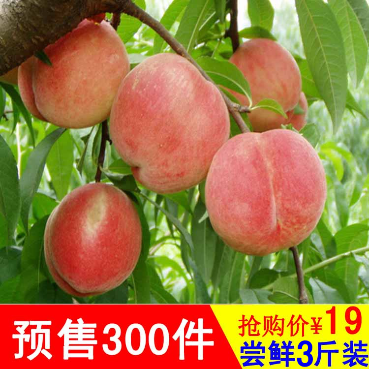 大桃子现摘新鲜桃子水果山西农家自水蜜桃新鲜桃3斤装非黄桃油桃