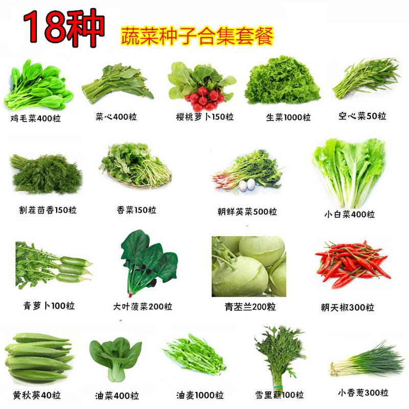 【天天特价】18种蔬菜种子套餐四季种植家庭菜籽阳台盆栽包邮
