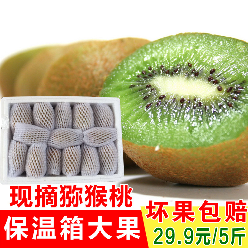 陕西周至眉县猕猴桃奇异果 野生有机新鲜水果奇异果大果 5斤包邮