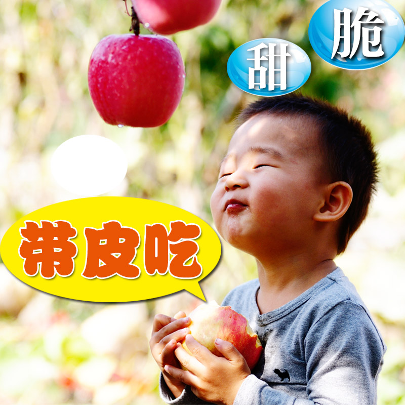 新鲜水果苹果山东烟台特产栖霞红富士农家自产5斤霜降带皮吃包邮