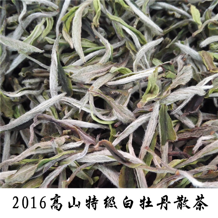 2016年新茶福建福鼎白茶高山明前特级白牡丹50g原产地茶叶