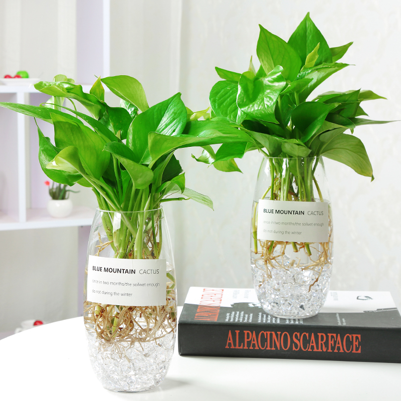 天天特价欧式创意玻璃瓶透明水培植物富贵竹绿箩花瓶办公室小清新