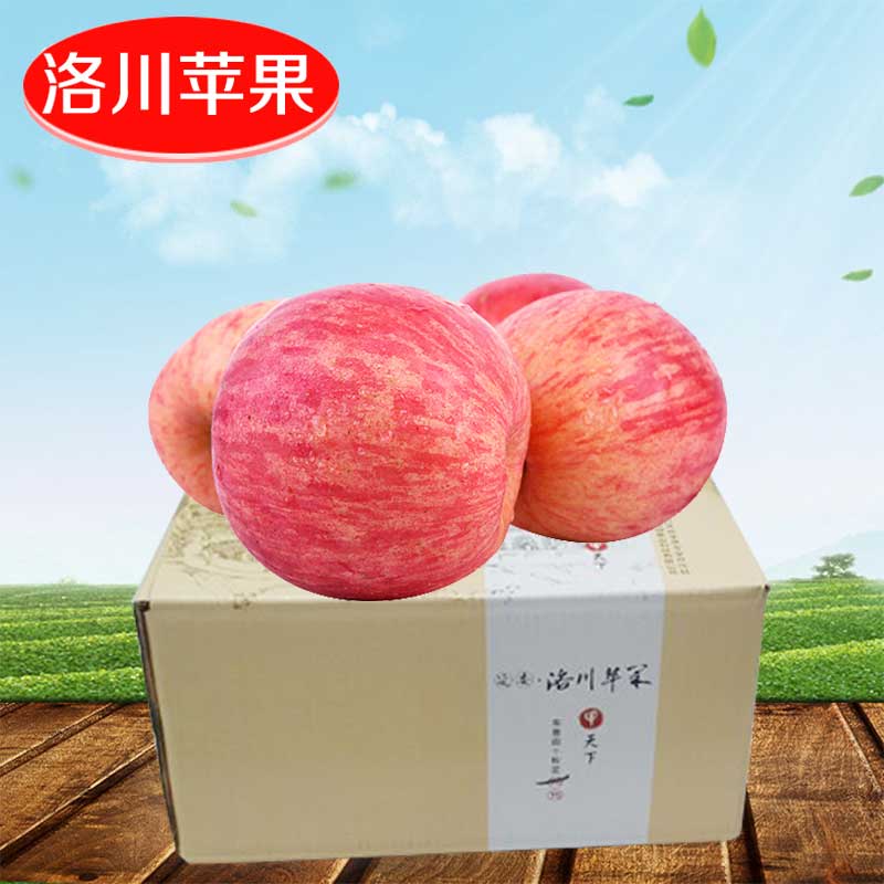 陕西特产洛川苹果新鲜脆甜红富士苹果水果19斤40枚80mm非烟台苹果