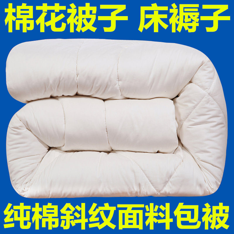 棉花被子单人双人儿童学生棉被春秋被芯冬被1.5m1.8床垫被床褥子折扣优惠信息