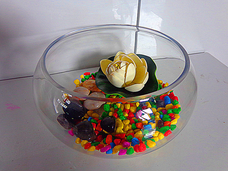 创意水族箱生态圆形玻璃金鱼缸 大号乌龟缸 迷你小型造景水培花瓶