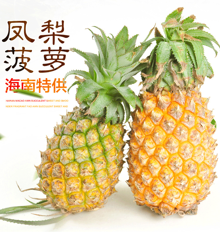 5斤【3-4个】海南新鲜水果香水菠萝金菠萝  海南特产折扣优惠信息