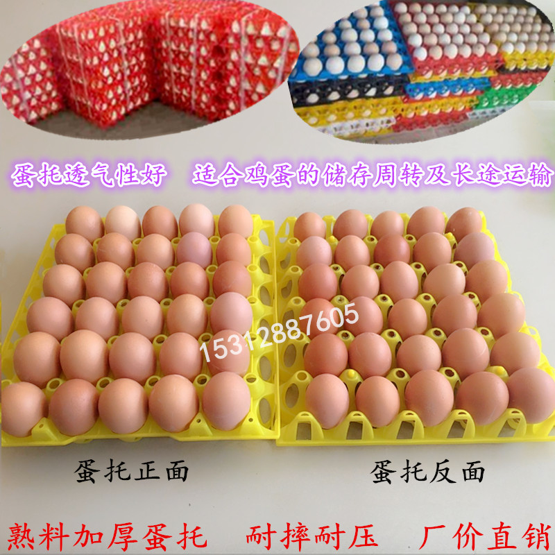 塑料鸡蛋托/30枚鸡蛋盒蛋箱配套/孵化托盘运输鸡蛋包装鸭蛋托包邮