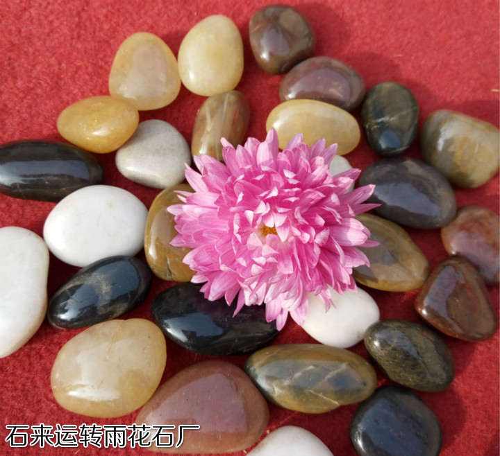 南京天然盆栽石鱼缸石鹅卵石 石头 雨花石2-4-5规格包邮（5斤装）