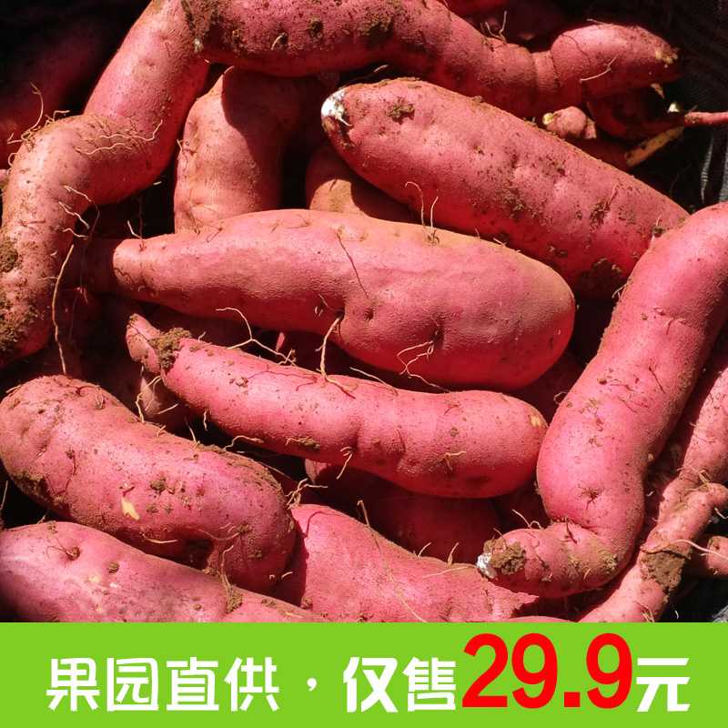 红薯地瓜番薯板栗薯小番薯小红薯木薯非紫薯8斤包邮板栗红薯