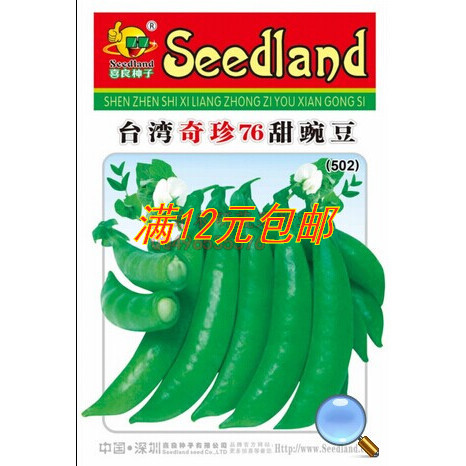 甜脆豌豆荷兰豆种子 蔬菜种子 甜豆菜籽 阳台园艺 奇珍76甜豌豆