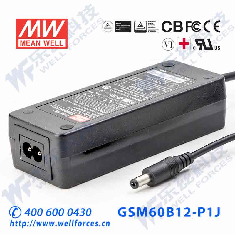 明纬医疗级电源适配器 GSM60B12-P1J 60W 12V5A 两插|重0.34