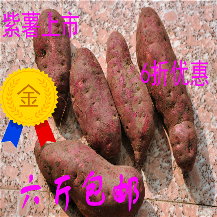 江苏兴化农家自产新鲜越南紫薯红薯山芋地瓜紫红薯六斤包邮