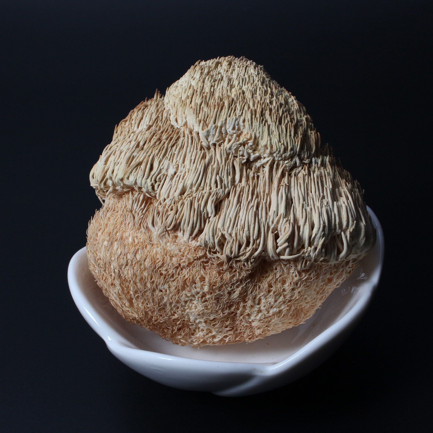黑龙江省 海林市 猴头菇  口感鲜嫩 猴头菌 干货 35元250g  包邮折扣优惠信息