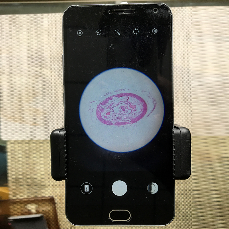 手机支架 显微镜用 拍照更方便