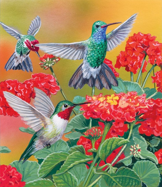 进口拼图 SunsOut 翠鸟和鲜艳的花朵 550片 美好色彩 家居装饰