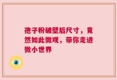 孢子粉破壁后尺寸，竟然如此微观，带你走进微小世界