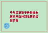 千年灵芝孢子粉种植全解析从选种到收获的关键步骤