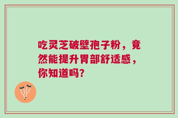吃灵芝破壁孢子粉，竟然能提升胃部舒适感，你知道吗？