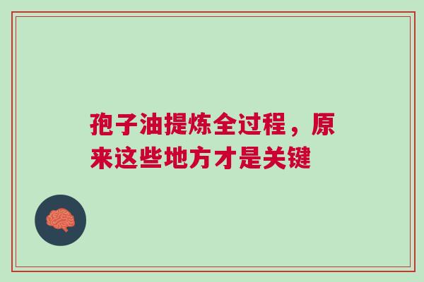 孢子油提炼全过程，原来这些地方才是关键