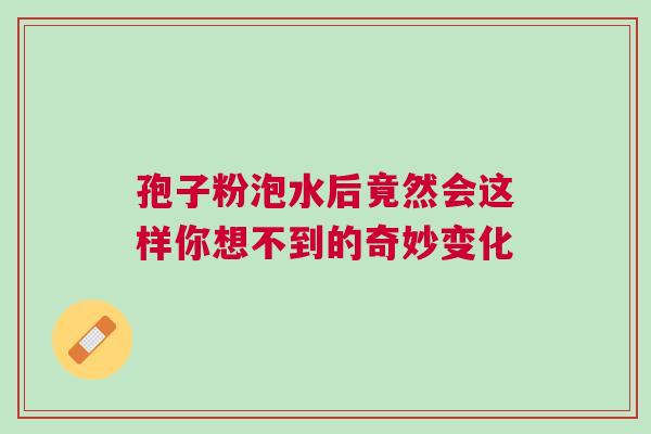 孢子粉泡水后竟然会这样你想不到的奇妙变化